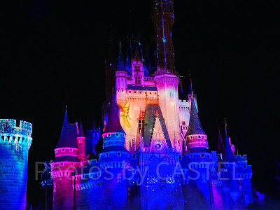 ティンカーベル