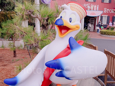 ティッピーブルー