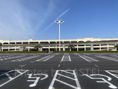 ディズニーランドのディスアビリティ区画