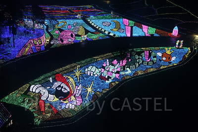 東京ドイツ村のイルミネーション