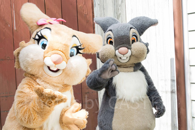 とんすけ、ミス・バニー