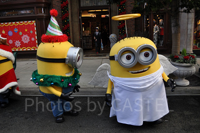 暇を持て余し（？）ジェリーに近よるカール