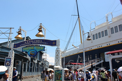 タートルトーク