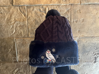 ユニバ冬グッズ：ヘドウィグのニット帽