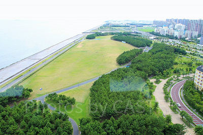 浦安市総合公園