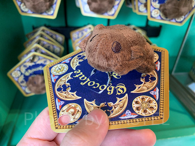 USJ/蛙チョコレートのブラッシュリング