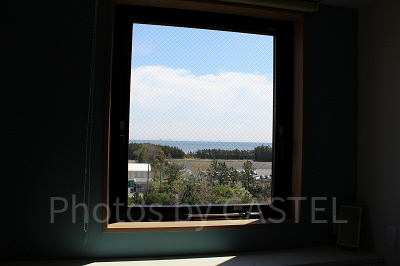 客室からの眺め（一例）