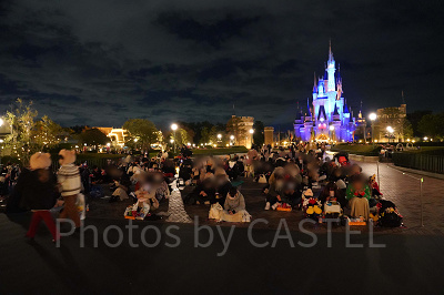 シンデレラ城前の鑑賞スペース