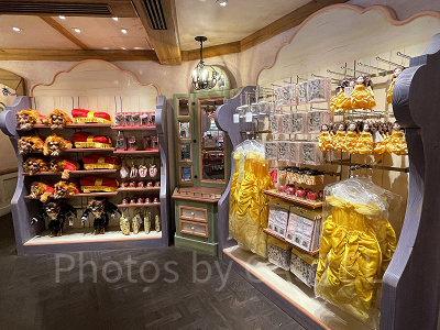 ディズニー新エリア】ディズニーランドの美女と野獣＆ベイマックス