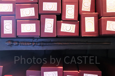 ブドウの木の杖