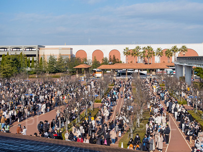 東京ディズニーシーの入場者
