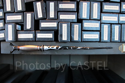 ホラス・スラグホーンの杖