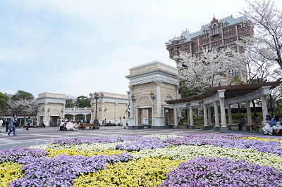 ウォーターフロントパークの桜