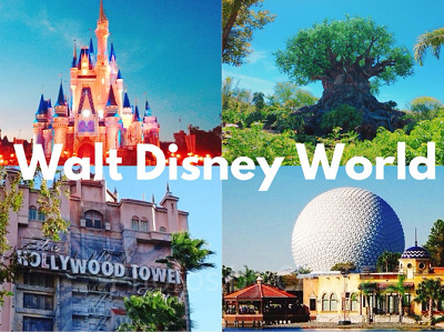 WDW旅行記】マジックキングダムの楽しみ方！事前準備＆おすすめ