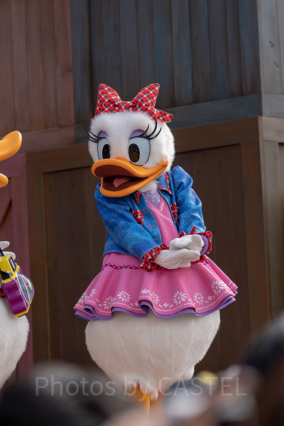 必見】デイジーダックはどんなキャラ？声の秘密やドナルドとの衝撃な