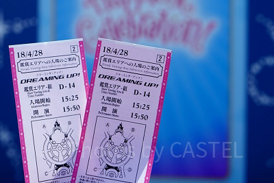 ディズニーの抽選とは