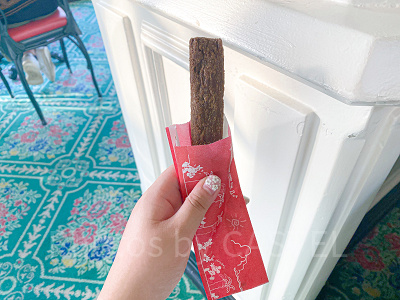 ティポトルタとは？