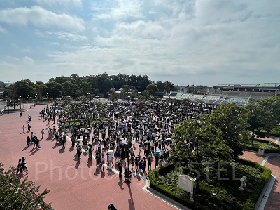 1年間でディズニーが混雑する月はいつ？