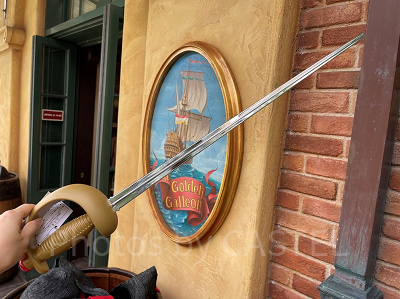 剣を鞘から抜いたところ