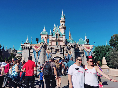 オーディオアニマトロニクスの導入はいつ？