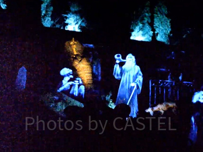 再会したら、変わり果てた姿に！