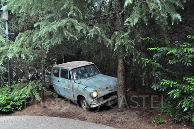 ハリーポッターのドラマはどこで見られる?