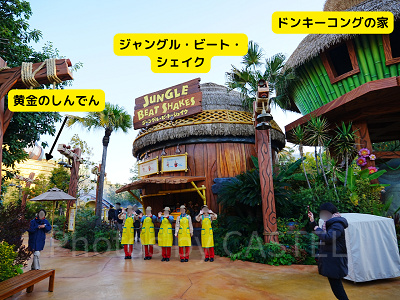 ジャングル・ビート・シェイクの場所