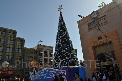 2019年のツリーの場所は？