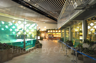 ホワイトタイガー展示エリア(写真右手の2階構造の建物)