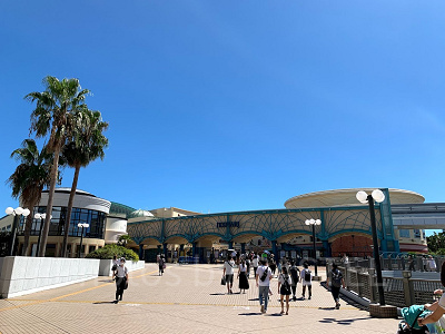 ディズニー当日券はなぜ買える？