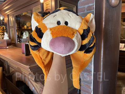 冬ディズニーの持ち物④:耳当て・ファンキャップ