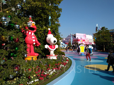 ワンダーランド