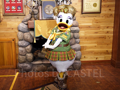 ウッドチャック・グリーティングトレイルのデイジー