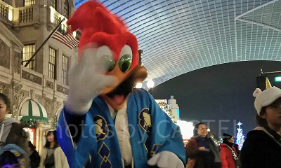 USJ】ウッディ・ウッドペッカーとは？プロフィール、会える場所