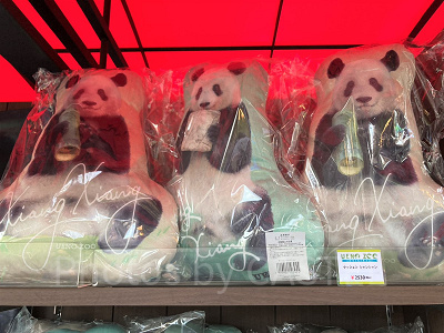 シャンシャンのクッション／上野動物園