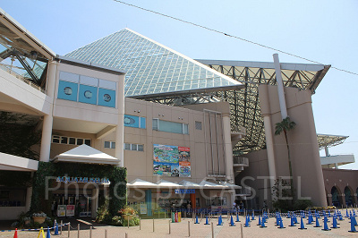 横浜・八景島シーパラダイス