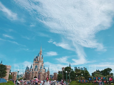 青空とシンデレラ城の青い屋根が映えますね