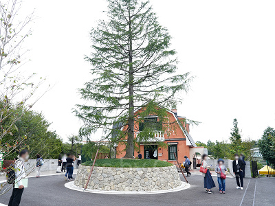 青春の丘エリア