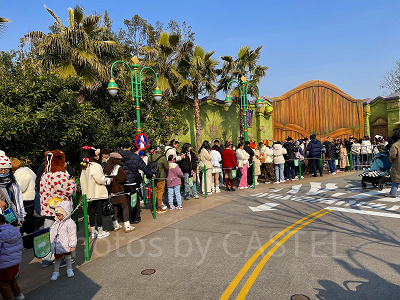 ズートピアエリア攻略：朝一番に回るのがおすすめ