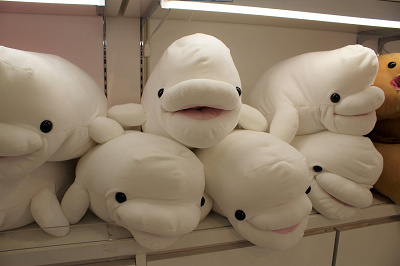 最新 八景島シーパラダイスのお土産10選 おすすめの買うべきグッズまとめ 販売ショップ一覧も