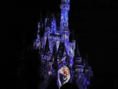 ディズニーランドとディズニーシーはどっちが怖いの