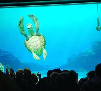 ヤバいwwwタートルトークのおもしろ質問 珍回答23連発 質問する方法も