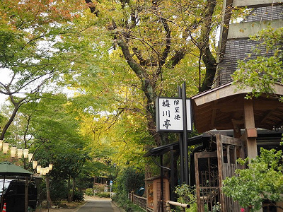 22 上野動物園の料金はいくら 1日チケット料金 年間パスポート 無料で入場できる日まとめ