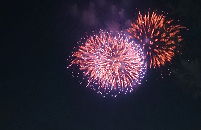 なぜディズニーの花火は夏に休止するの 理由と再開日予想まとめ