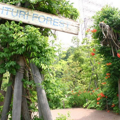 アフリカに行ったような気分になれる園内