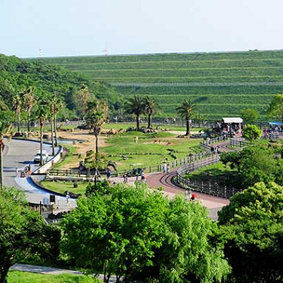 とっても広いサファリワールド