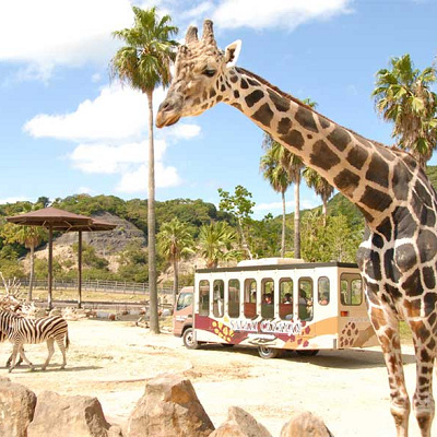 アドベンチャーワールドチケット：前売り券の購入手順