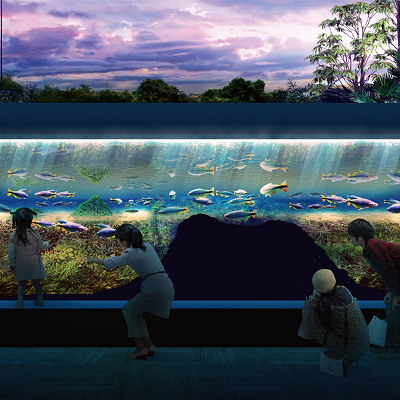 アマゾン川南米ゾーン