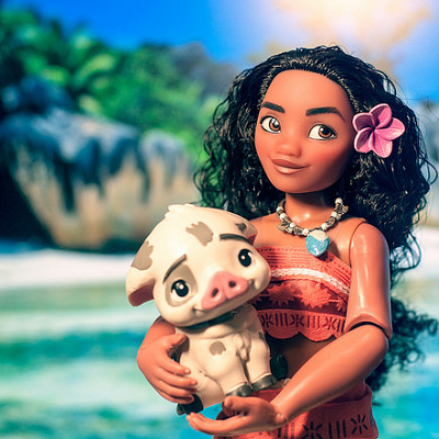 珊瑚礁を越えた海へ旅立つ冒険物語