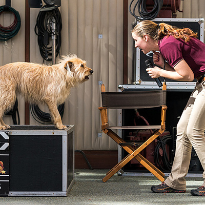 アニマルアクターズ